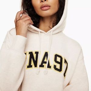 Aritzia Boyfriend Hoodie